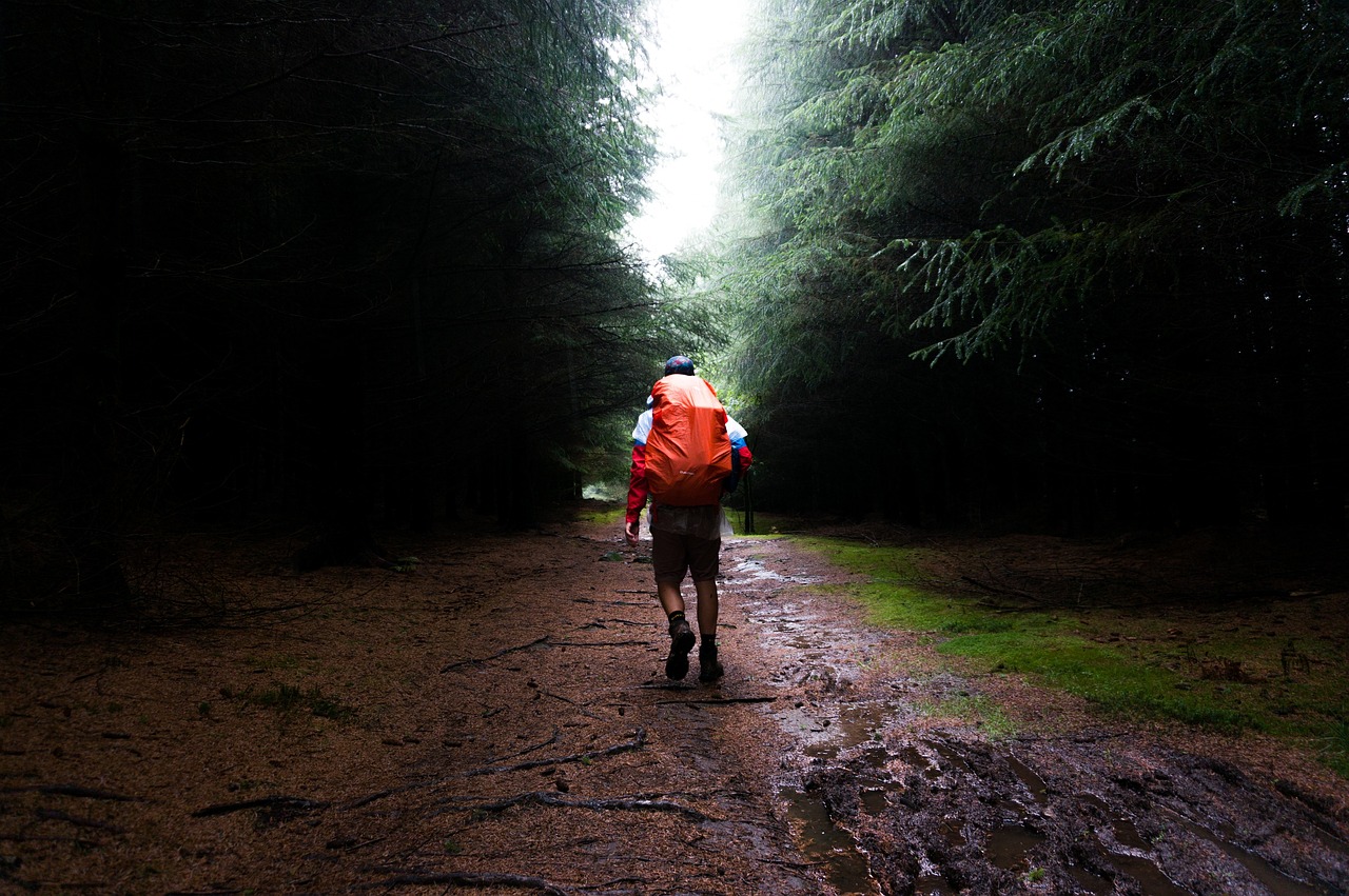 Hiking in the Rain