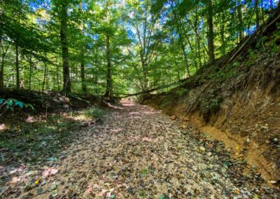 Ranbarger Hollow Creek