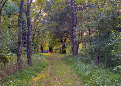 Red Cedar Campground