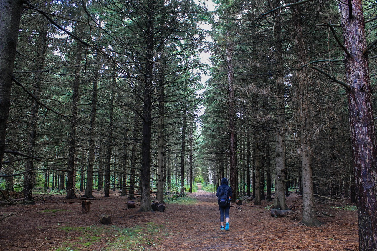 Train for Hiking
