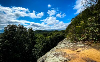 Bork Falls to Cedar Bluff Hiking Guide