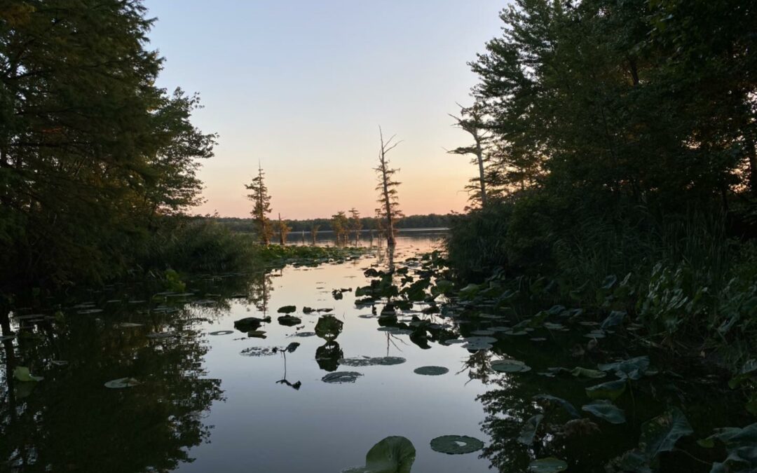 Mermet Lake State Fish and Wildlife Area Guide