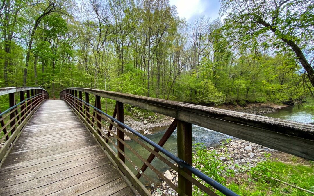 Cache River State Natural Area Guide