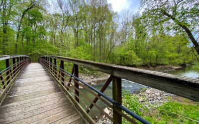 Cache River State Natural Area Guide