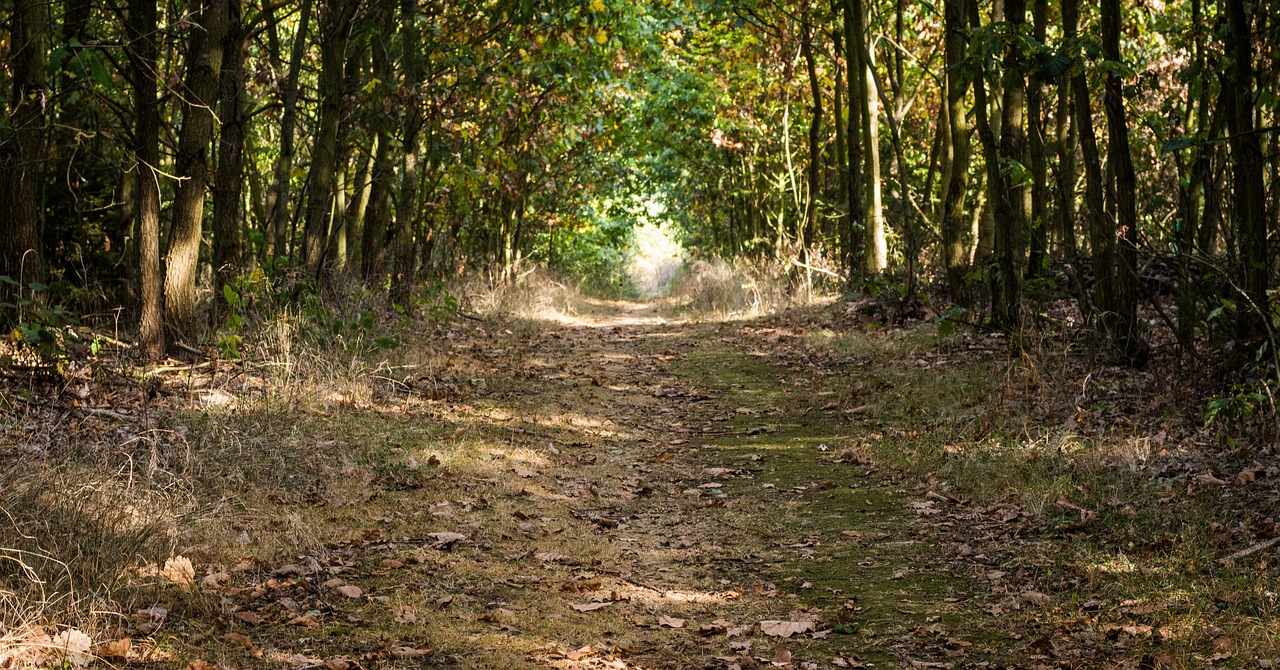 Speed hiking