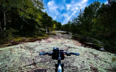 Glendixon Mountain Biking Trail Guide