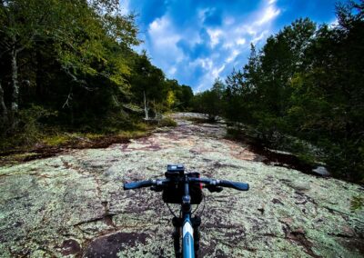 Glendixon Mountain Biking Trail