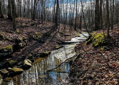 Blackman Creek