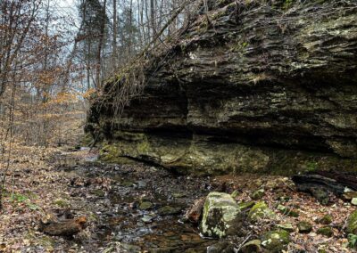 Scenic Bluff Area