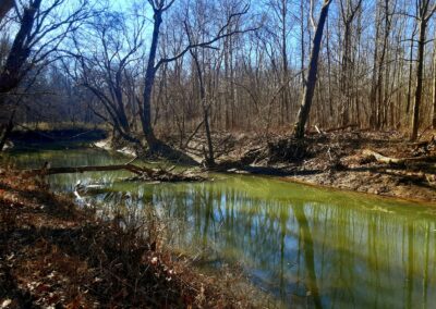 Wild and Scenic Creek