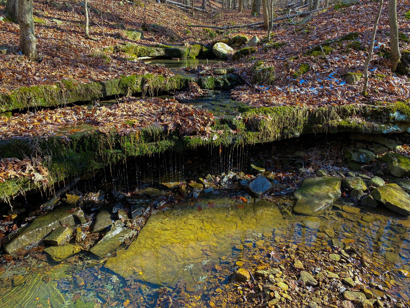 Blackman Creek Cascade