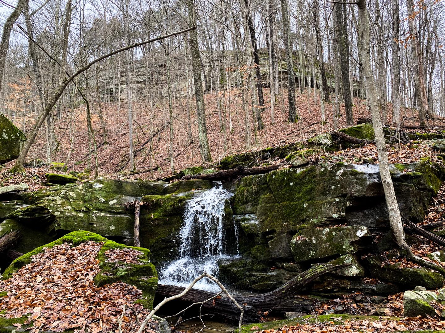 Eaglet Falls