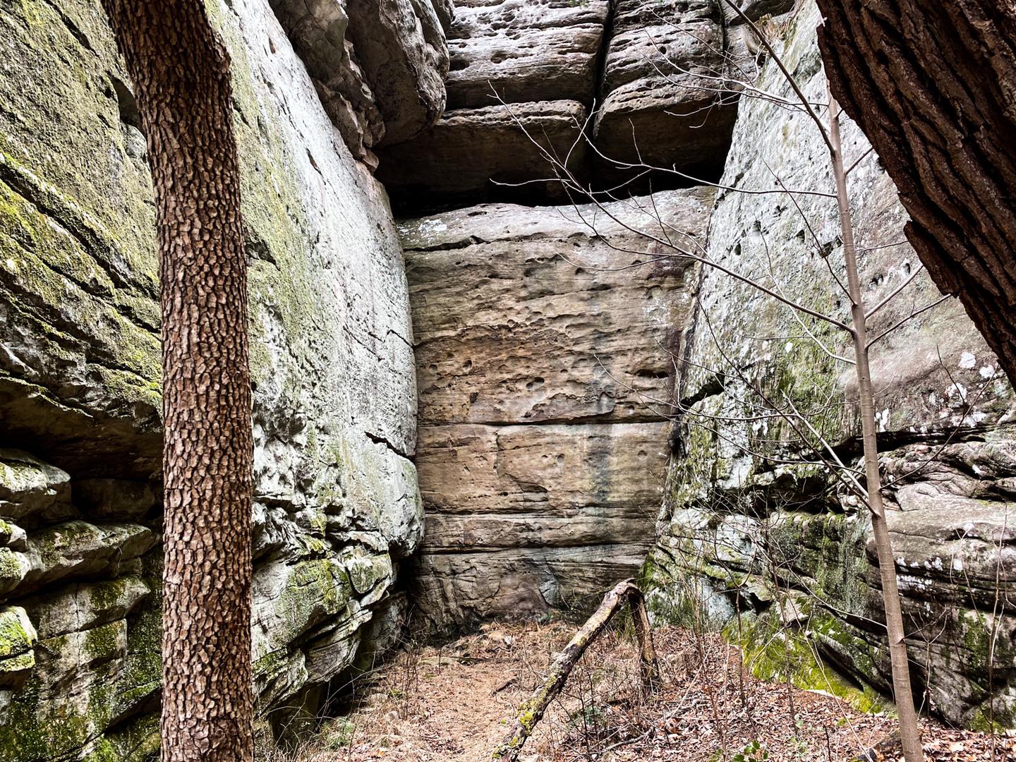 High Knob Trail