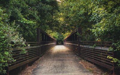 Hiking with Kids: Kid-Friendly Trails in Southern Illinois State Parks