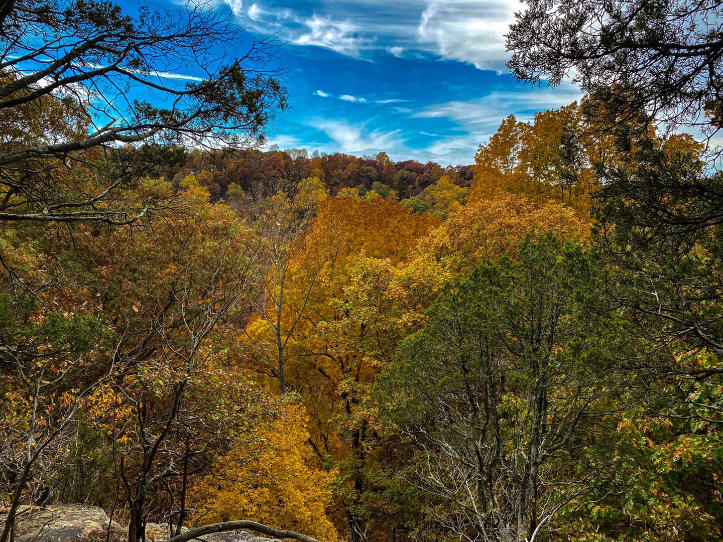 Fall in Southern Illinois