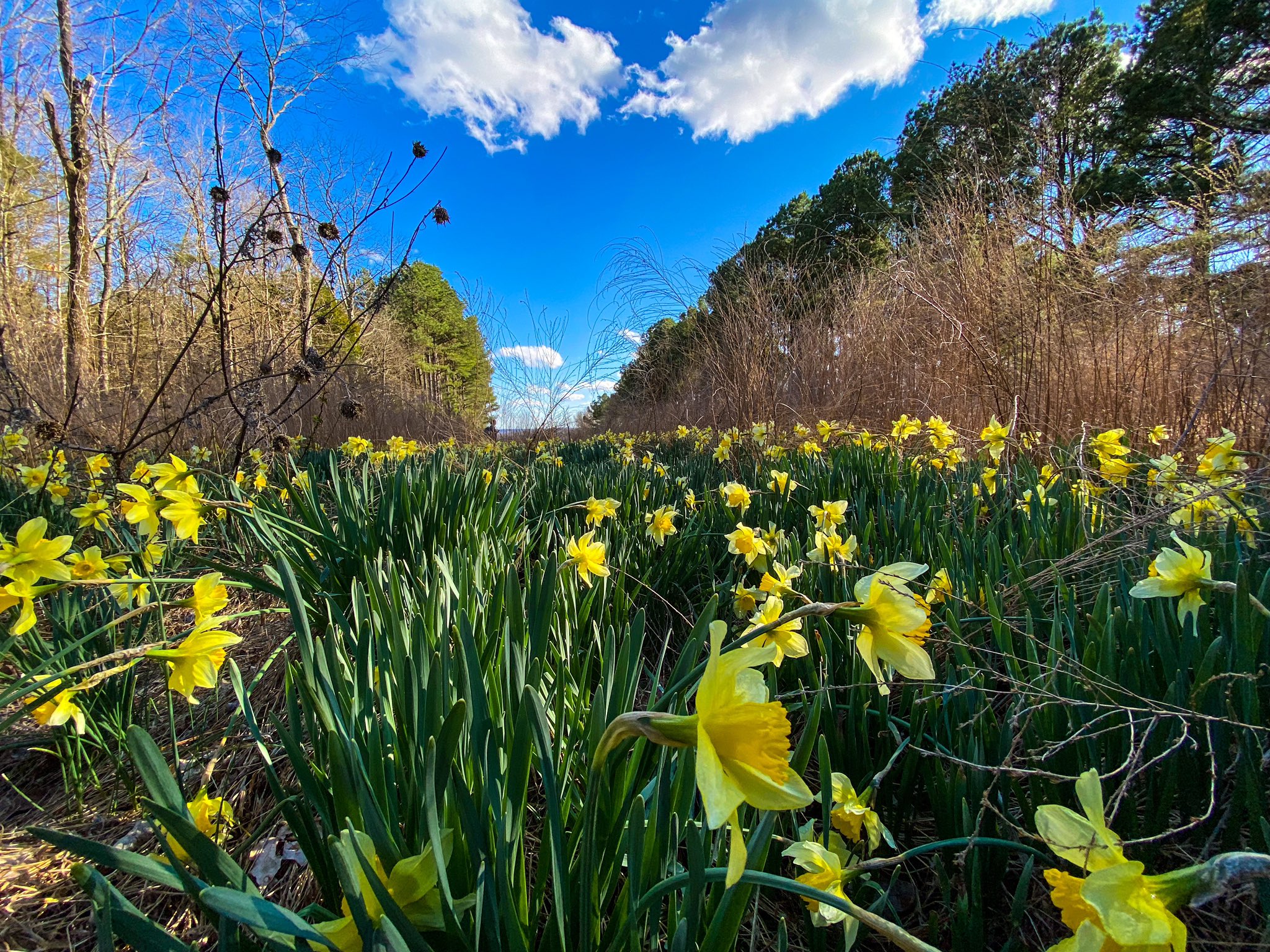 Outdoor Adventures in Southern Illinois in the Spring