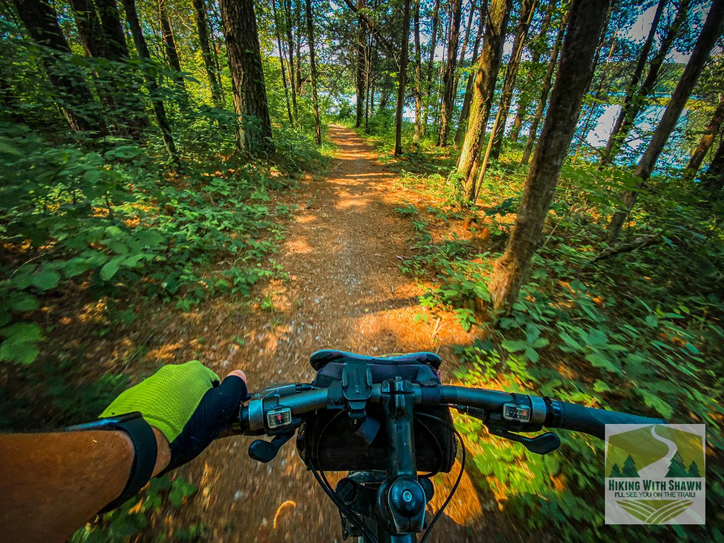 Mountain biking in the Shawnee National Forest