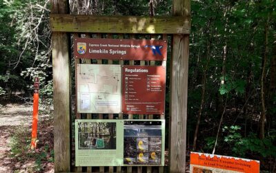 Limekiln Springs Hike this Saturday