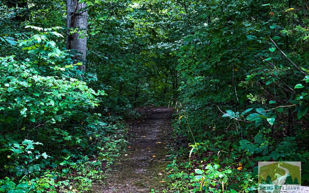 10 Fall Hiking Tips for 2023