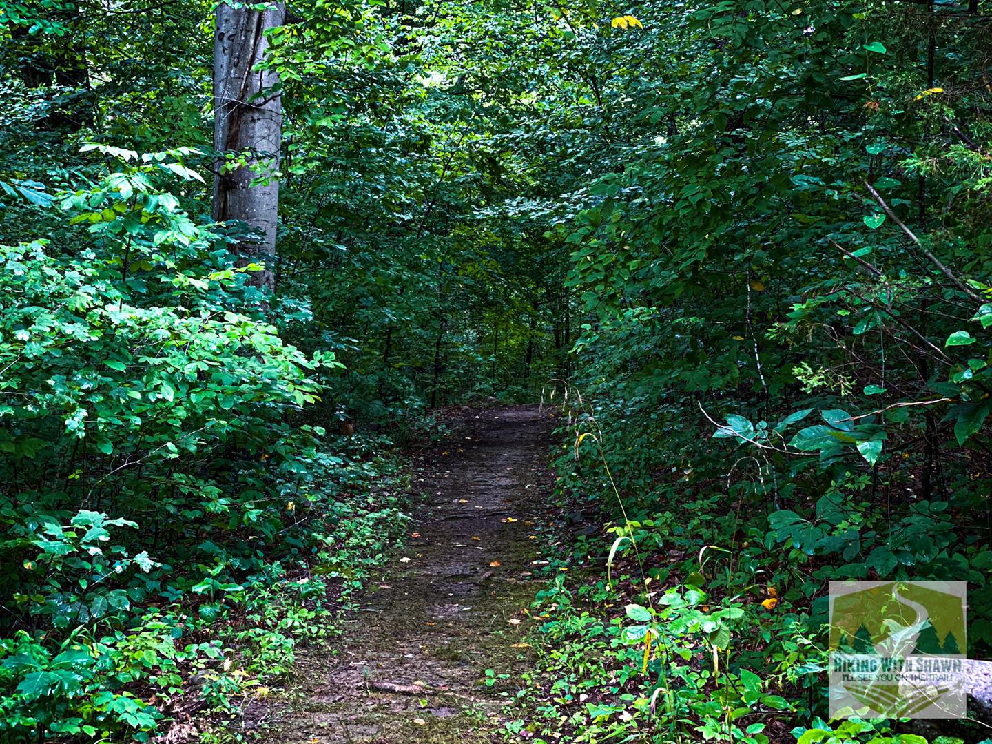 Fall Hiking Tips