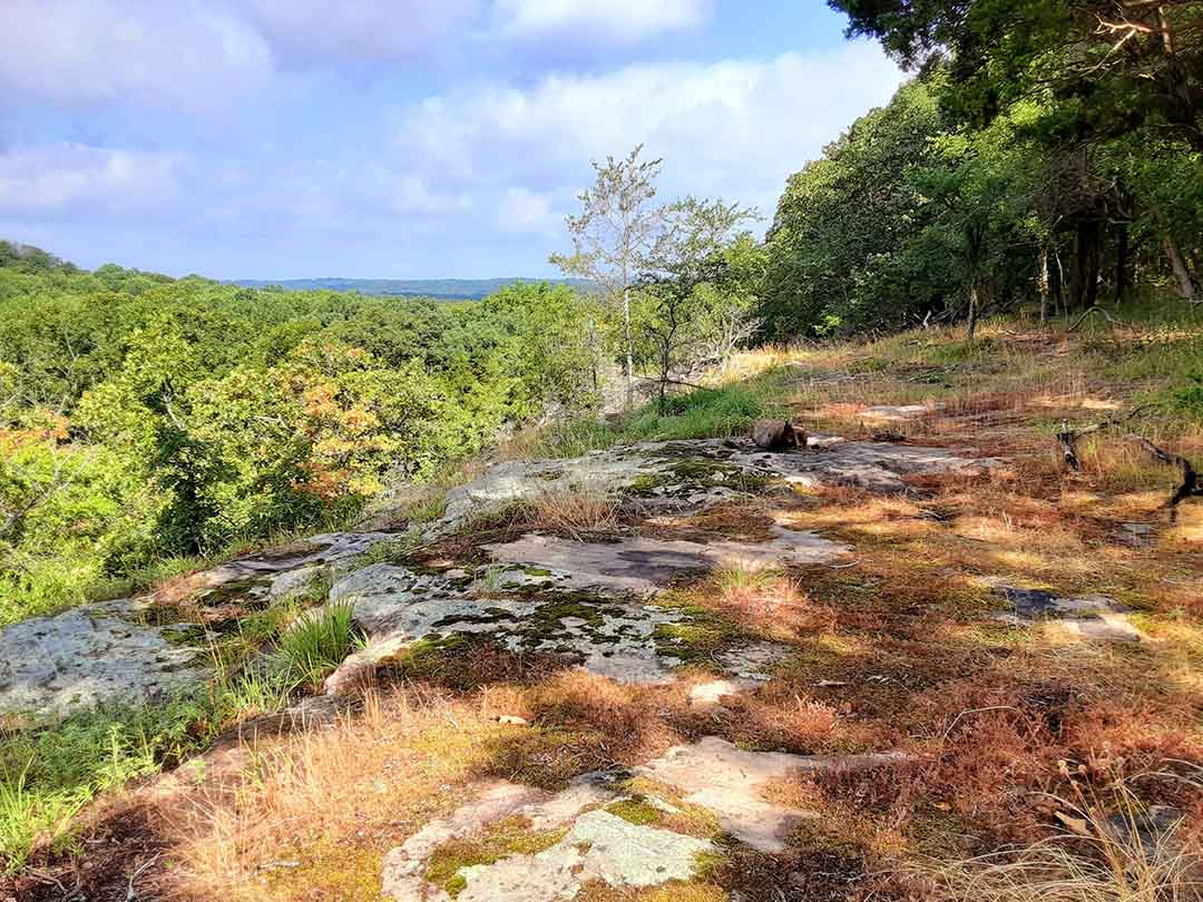 Picnic Overlook