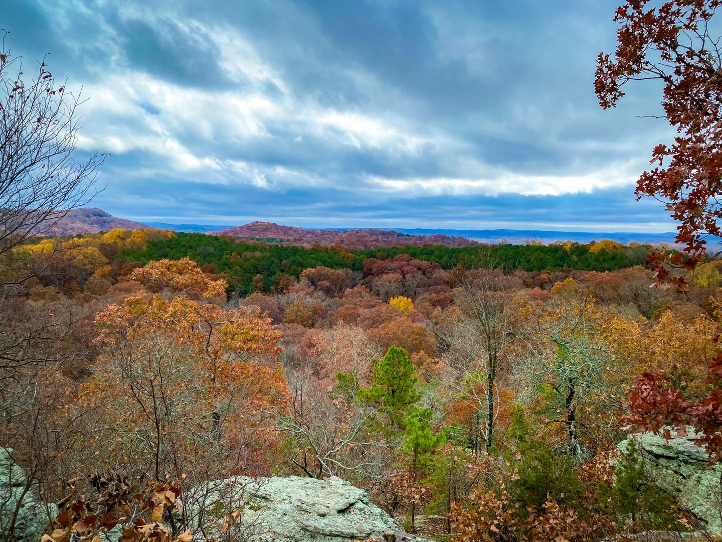 Wilderness Overlook