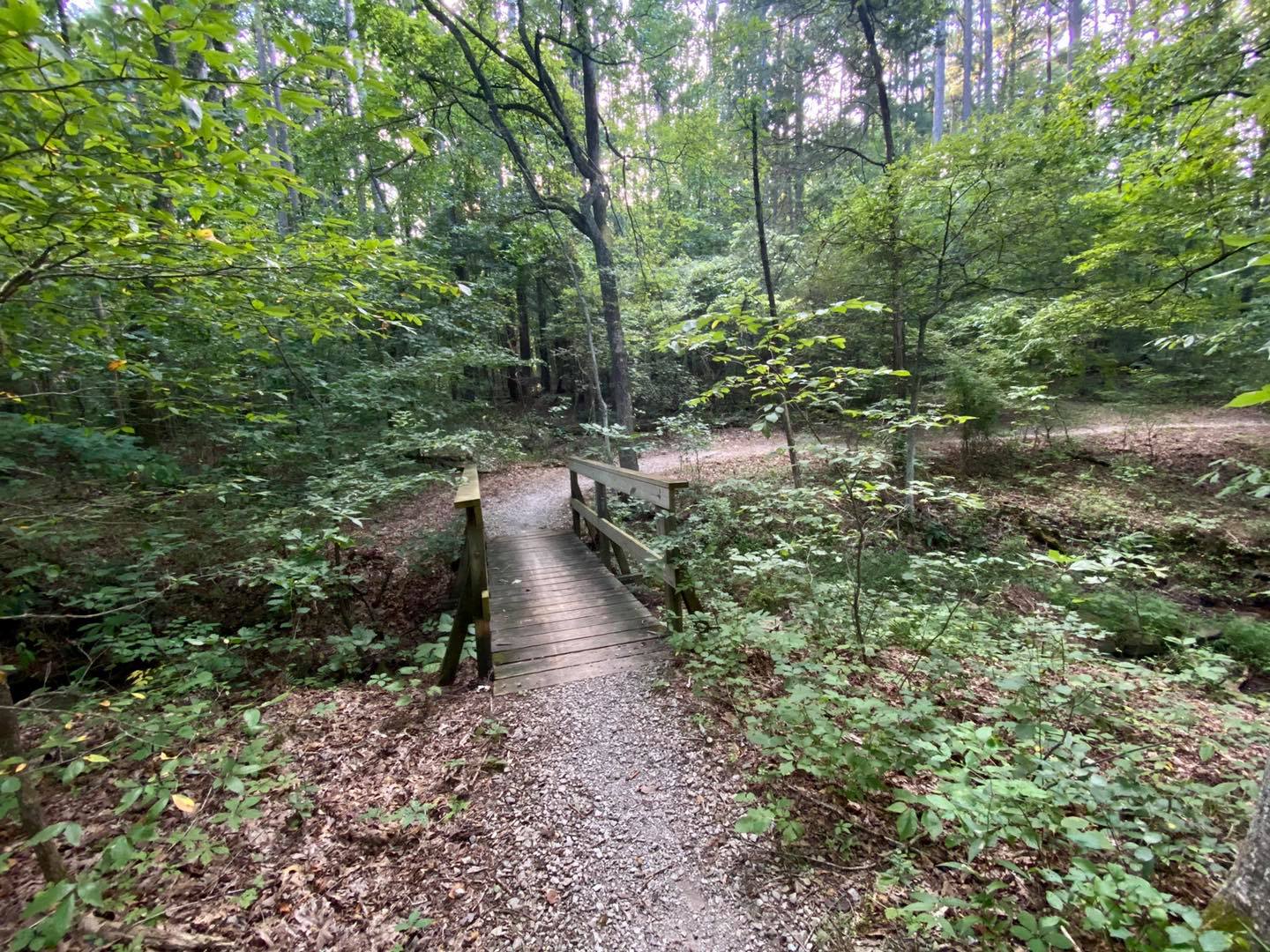 Hiking in the Shawnee National Forest