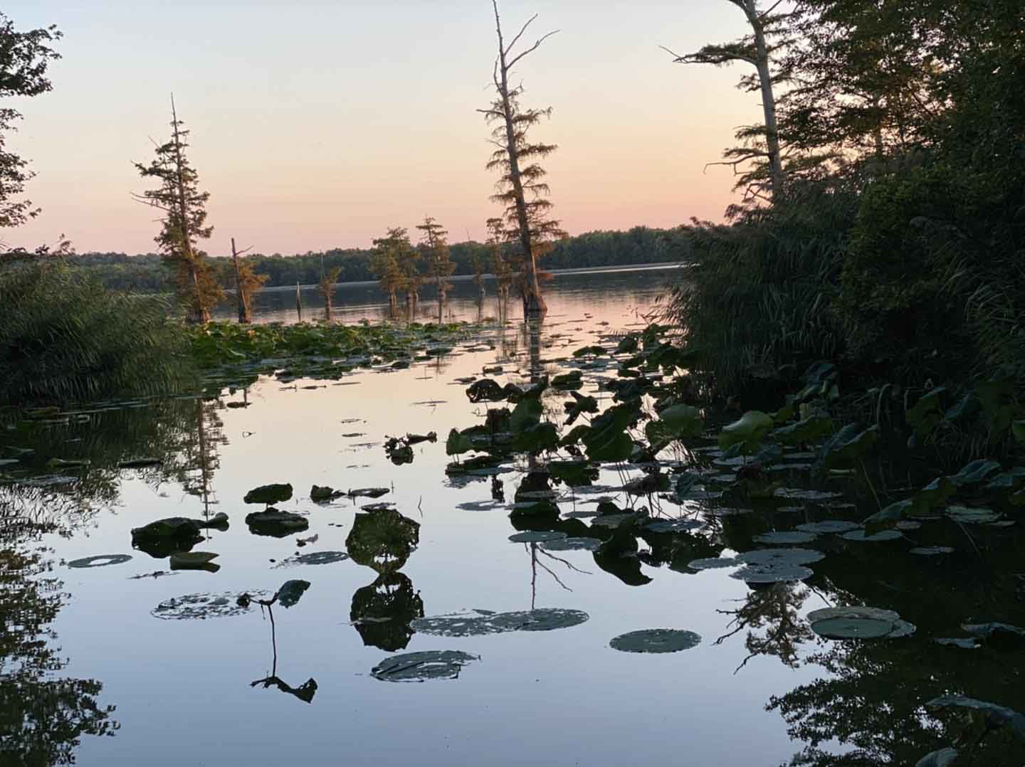 Mermet Lake State Natural Area