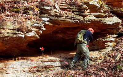 The Ten Hiking Essentials for Every Hiker