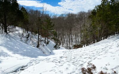 How to Hike in the Winter: Your Ultimate Winter Hiking Guide