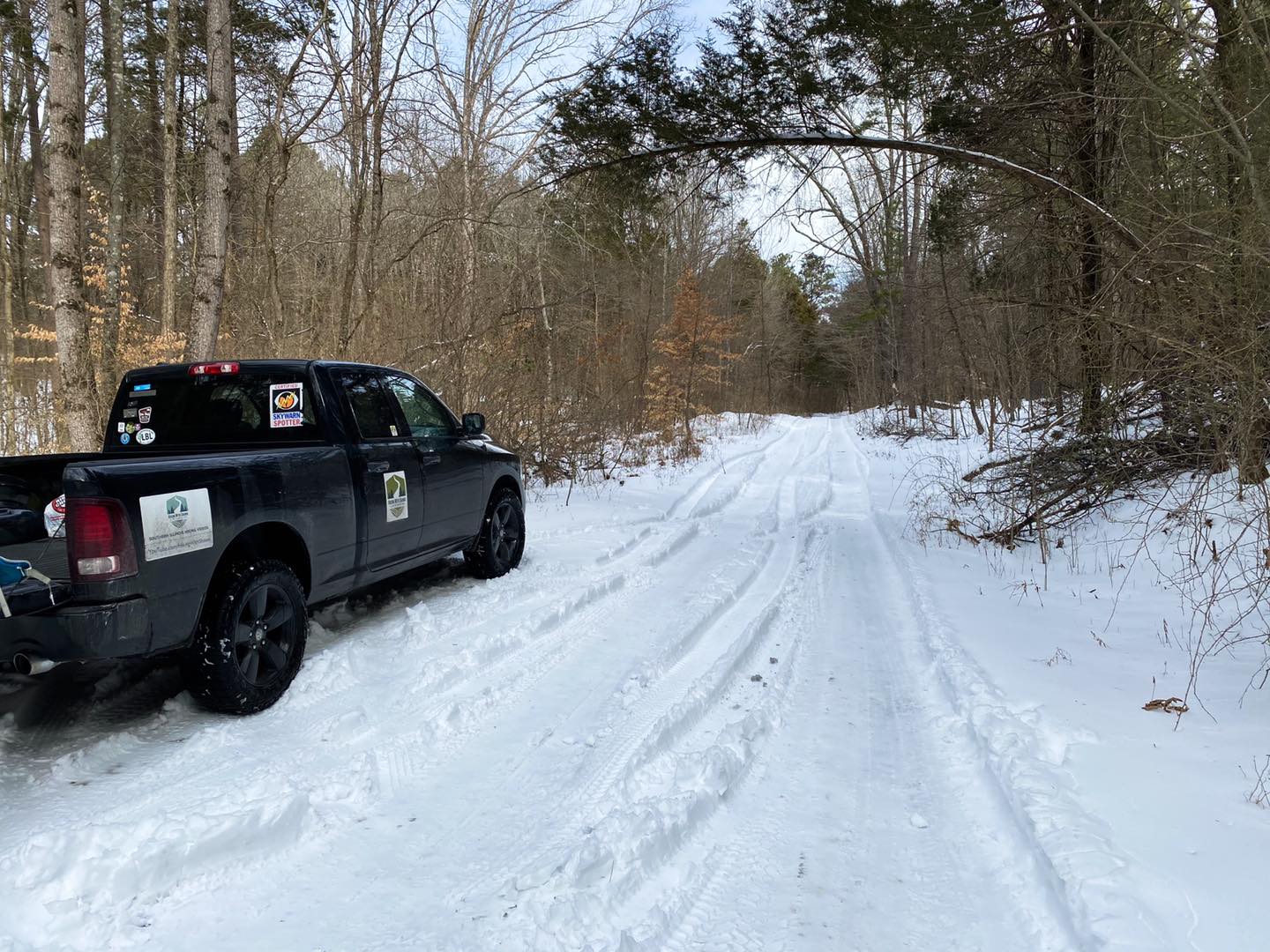 Winter Driving