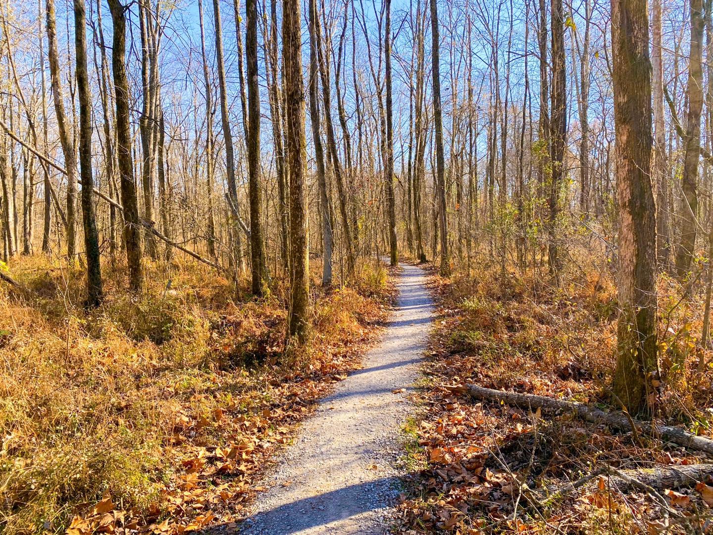 Chautauqua Bottoms 