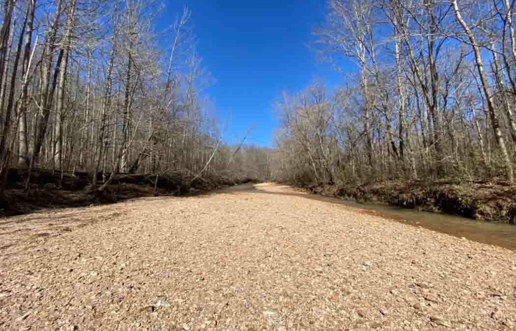 9 Scenic Creek Hikes in Southern Illinois to Enjoy this Summer