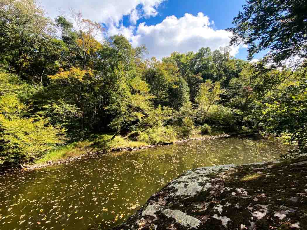 Shawnee National Park