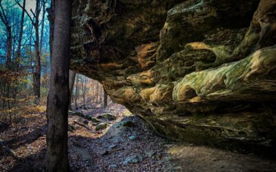 Round Bluff Nature Preserve Guide