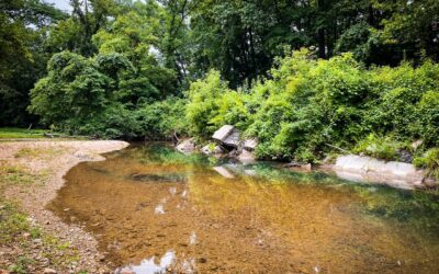10 Places Where to Swim in Southern Illinois