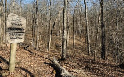 Franks Tract Loop in Lusk Creek Wilderness