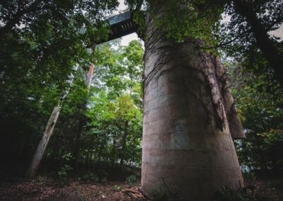 The Silo