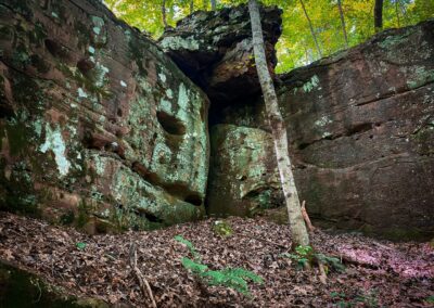 Happy Hollow Trail Bluffage