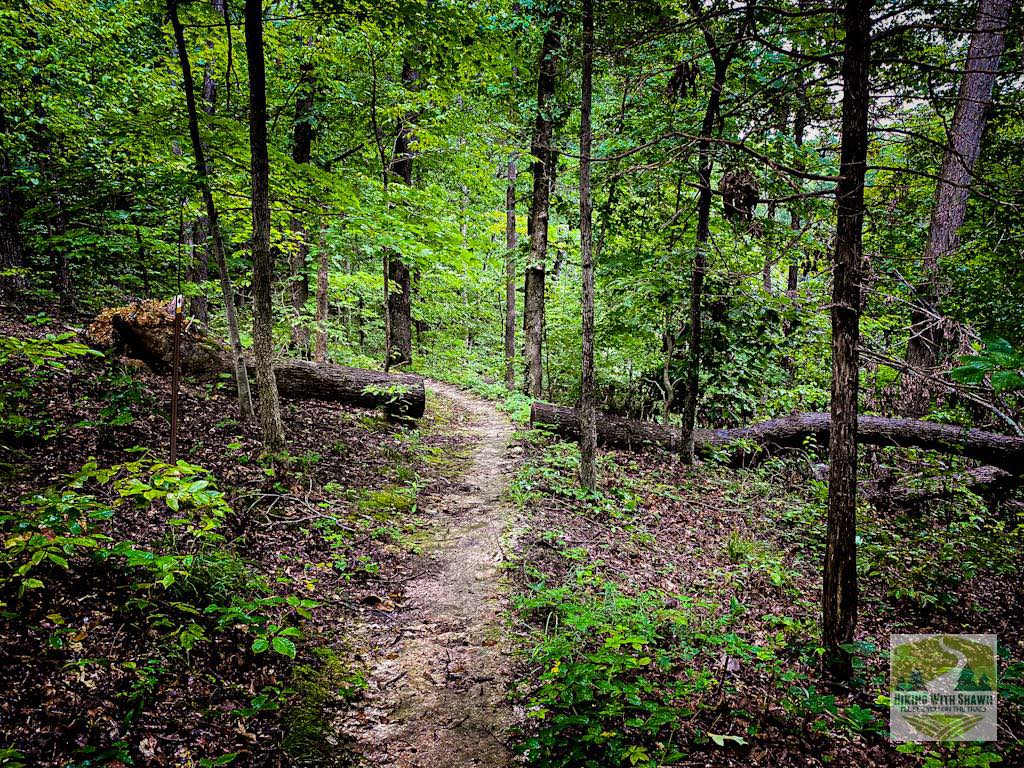 Shepard Point Trail