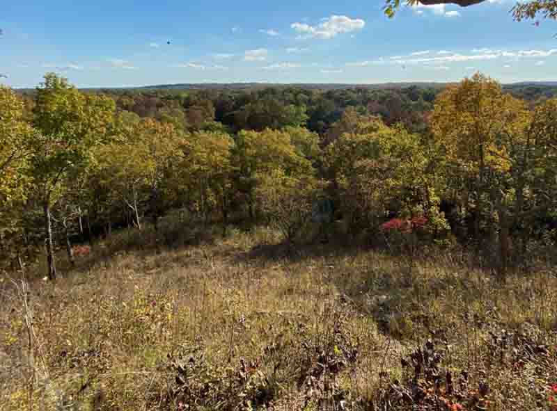 15 Southern Illinois Fall Color Spots for Fall 2024