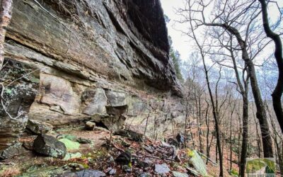 Hiking to the Bottom of Owl Bluff in Lusk Creek Wilderness