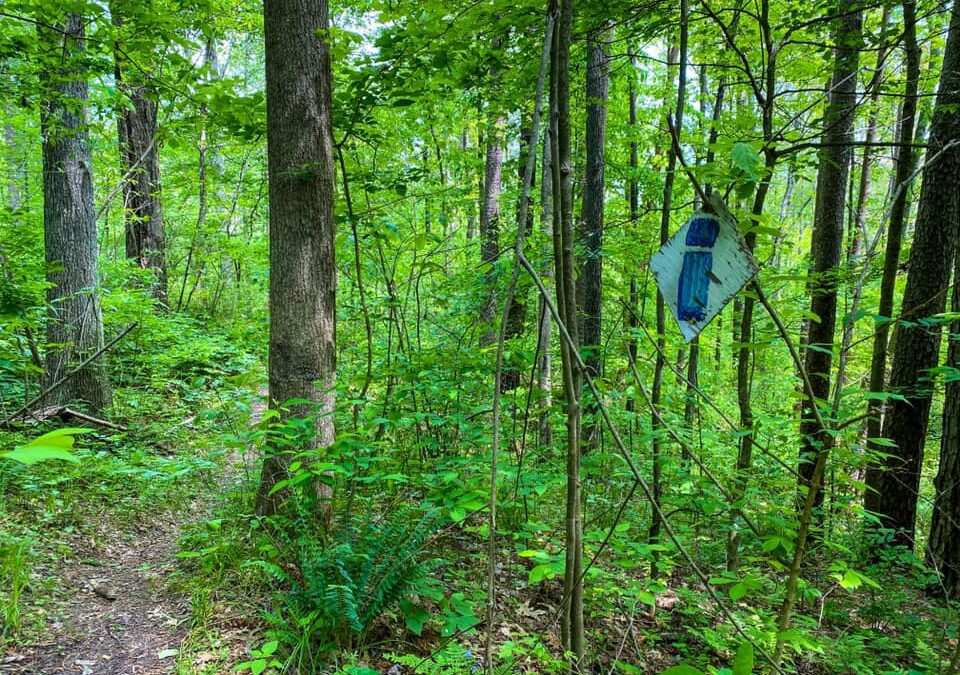 Different Types of Trails and Trail Difficulty Explained