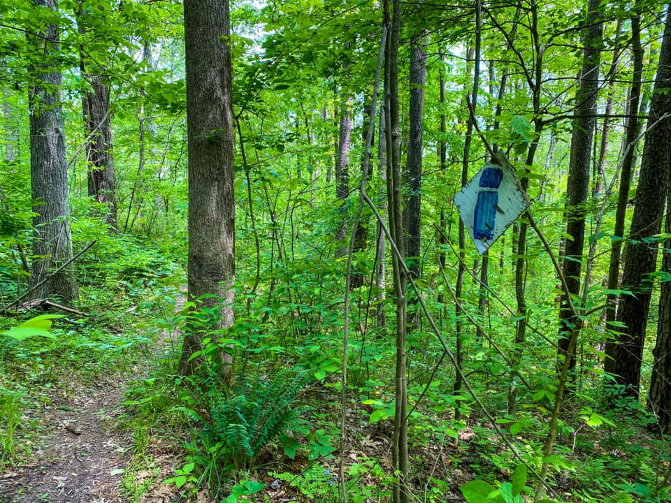Different Types of Trails