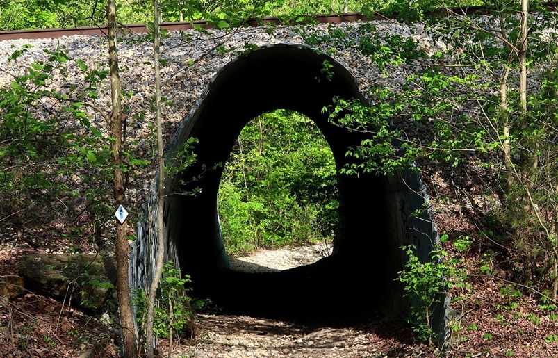 10 Great Shawnee National Forest Hiking Trails on All Trails