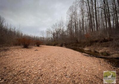 Typical Rock Bar in Hutchins Creek