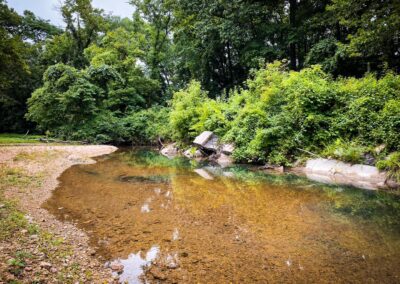 A Wading Area in Hutchins Creek