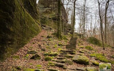 What You Need to Know Before You Hike the Shawnee National Forest