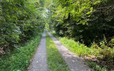 5 Routes for Scenic Driving in the Shawnee National Forest