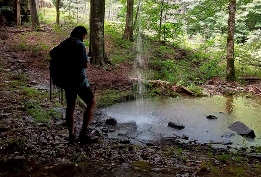 Dispersed Camping in the Shawnee National Forest